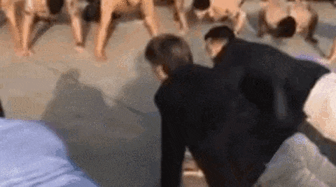 flexão bolsonaro - minha vida dos sonhos - mvds