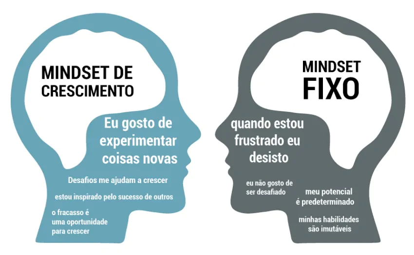 os tipos de mindset